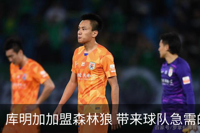 库明加加盟森林狼 带来球队急需的新动力